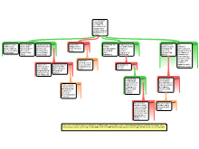 Mapped Essay Outline final
