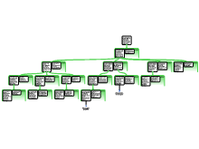 Mascha schema