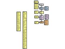 11PHR_CD_conciousness