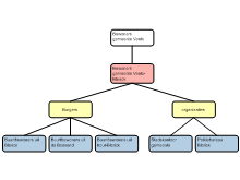 groepeerschema