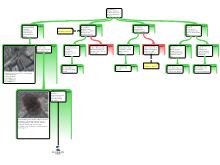 Tramhalte weghalen (blok 1.2)