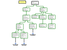 Schema