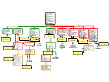 Zorgtraject Rationale