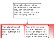 seat belt objection