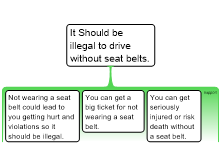 seatbelt