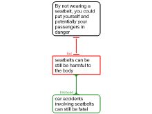 seatbelt 2