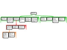 Final Paper Argument Map