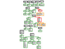 Visualiseren van redeneringen_Fabienne Schreuder_S1C