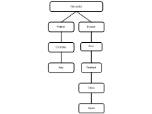 exercise 1 grouping