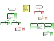 Discussion Task Week 11 Thursday