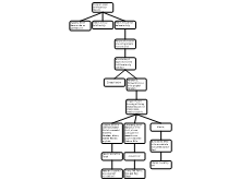 11PHR_POR_Concept Map