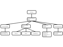 Dossieropdracht 01 - Kritisch denken