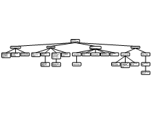 DP_Rationale Organization