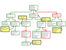 Visie Essay AE * schema