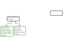 Esther van Sas (begin schema)