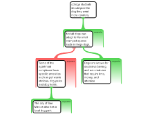 Discussion Task 19