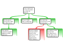 Discussion Task 2/19