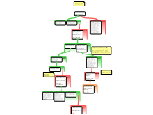Peer feedback outline