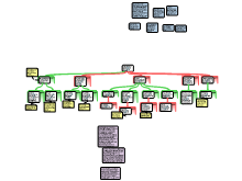 The Role of Eugenics by Conklin Mapped by Alden Johnson