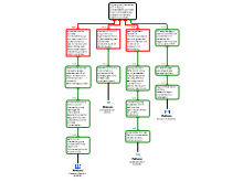 rationale schema EBP verslag