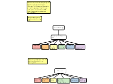 The Rationale Critical Thinking Path