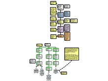11PHR_Consciousness_Persists_TEACHER