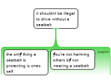 seatbelt
