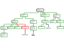 Rationale schema 1.3 Tess Verkade