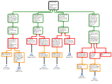 redeneerschema EBP-verslag 